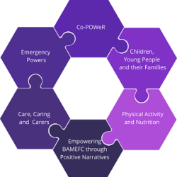 The Co-POWeR logo - a hexagonal shape made up of six petal-shaped, jigsaw-style, interlocking pieces. The petals are all different shades of purple from light to dark. The centrew of the logo is a white hexagon / space amid the petals. The titles of the six work packages are written in white, one on each petal.